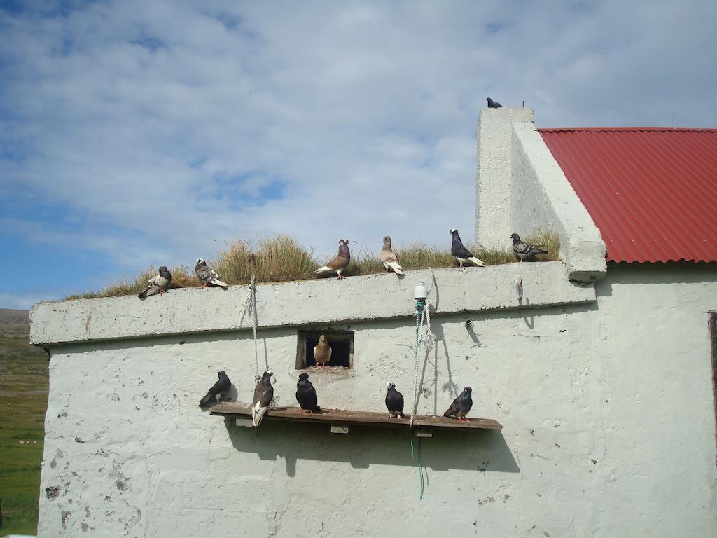 Hænuvík Cottages Hnjotur Exterior foto
